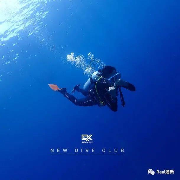 镇魔曲页游