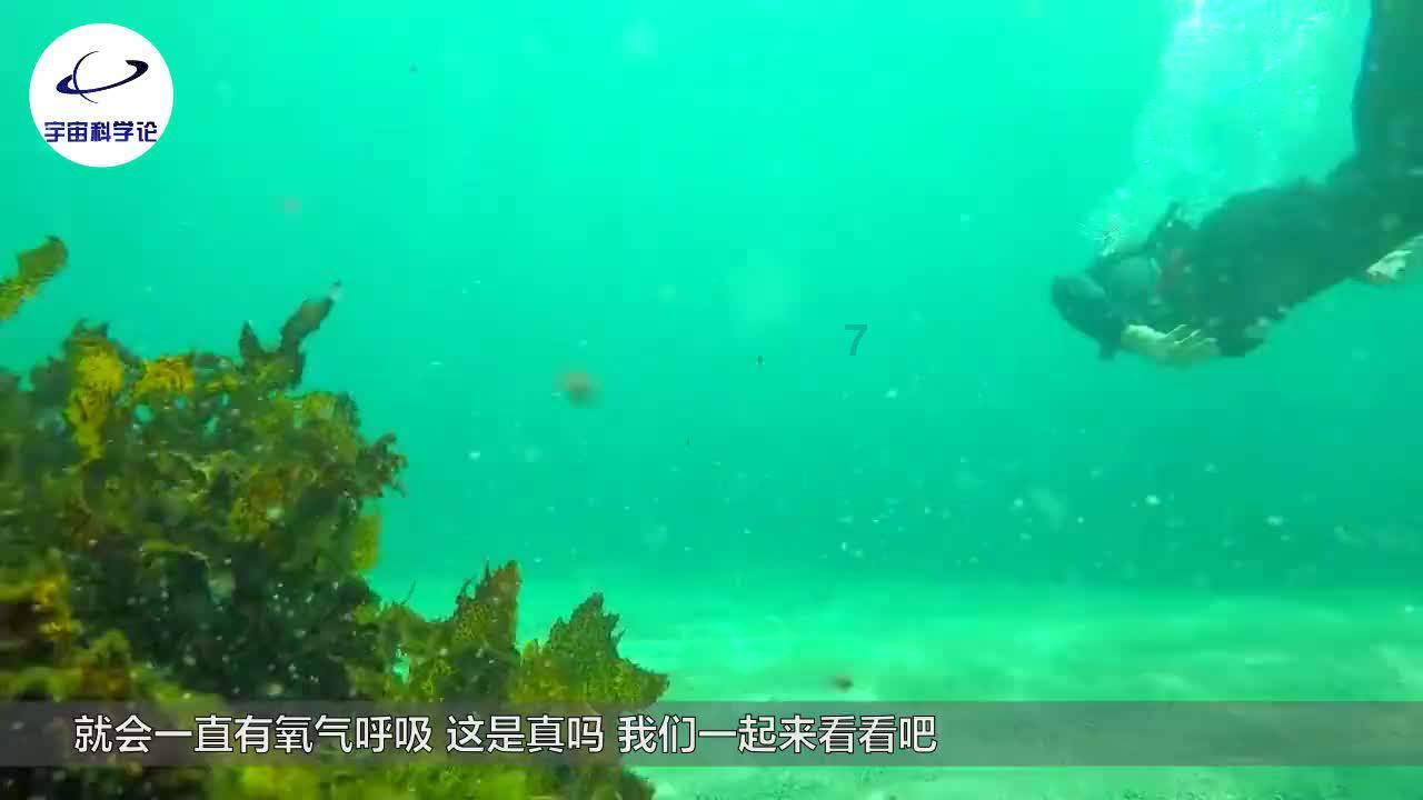 功夫熊猫官方手游